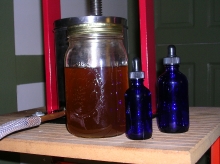 tincture-press-first-pass